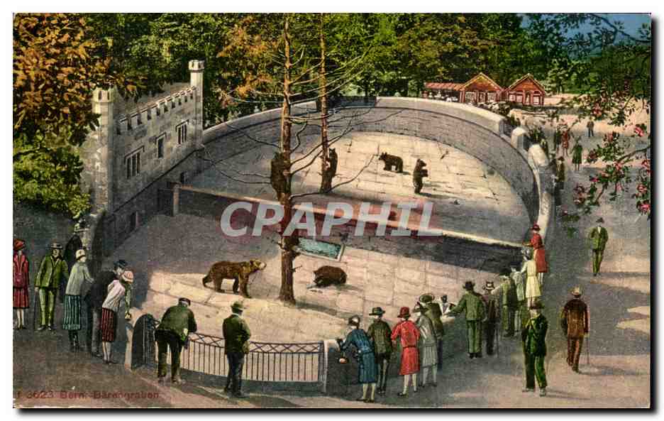 CPA Berne La Fosse aux Ours 