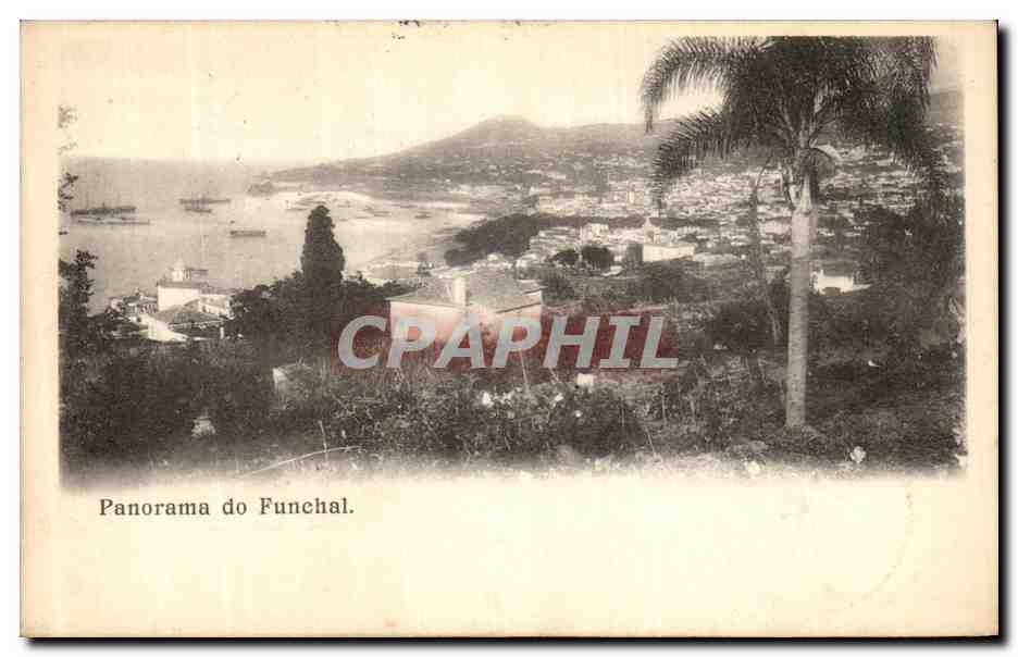 CPA Panorama do Funchal Portugal