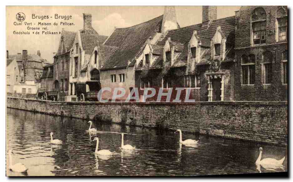 CPA Bruges Brugge Quai Vert Maison du Pelican Cygnes