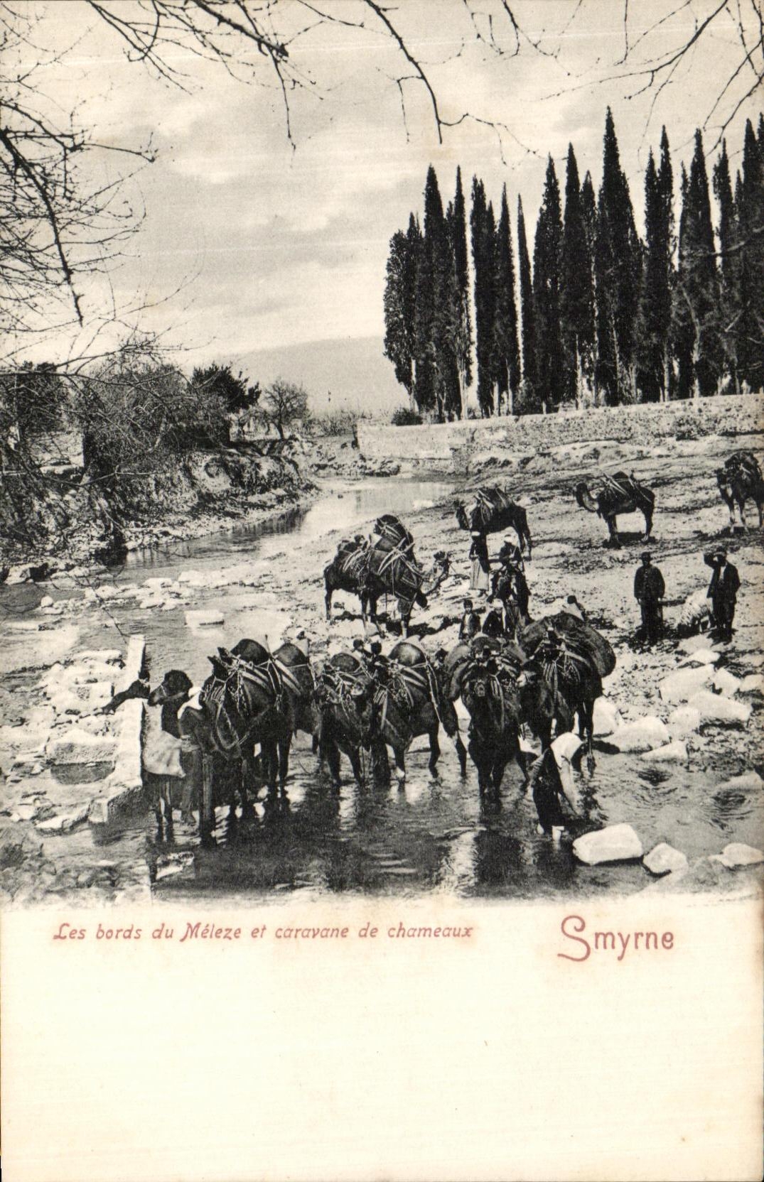 CPA Smyrne Les bords du Meleze et caravane de chameaux Turquie