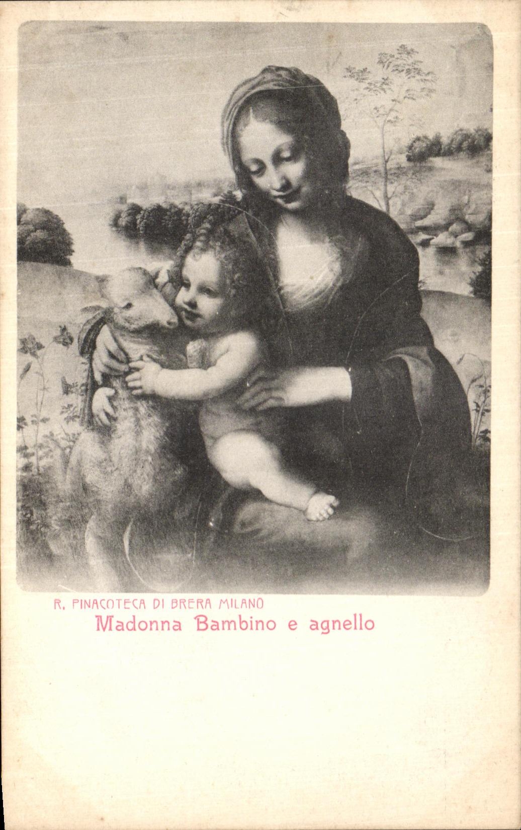 CPA Pinacot Milano Madonna Bambino e agnello