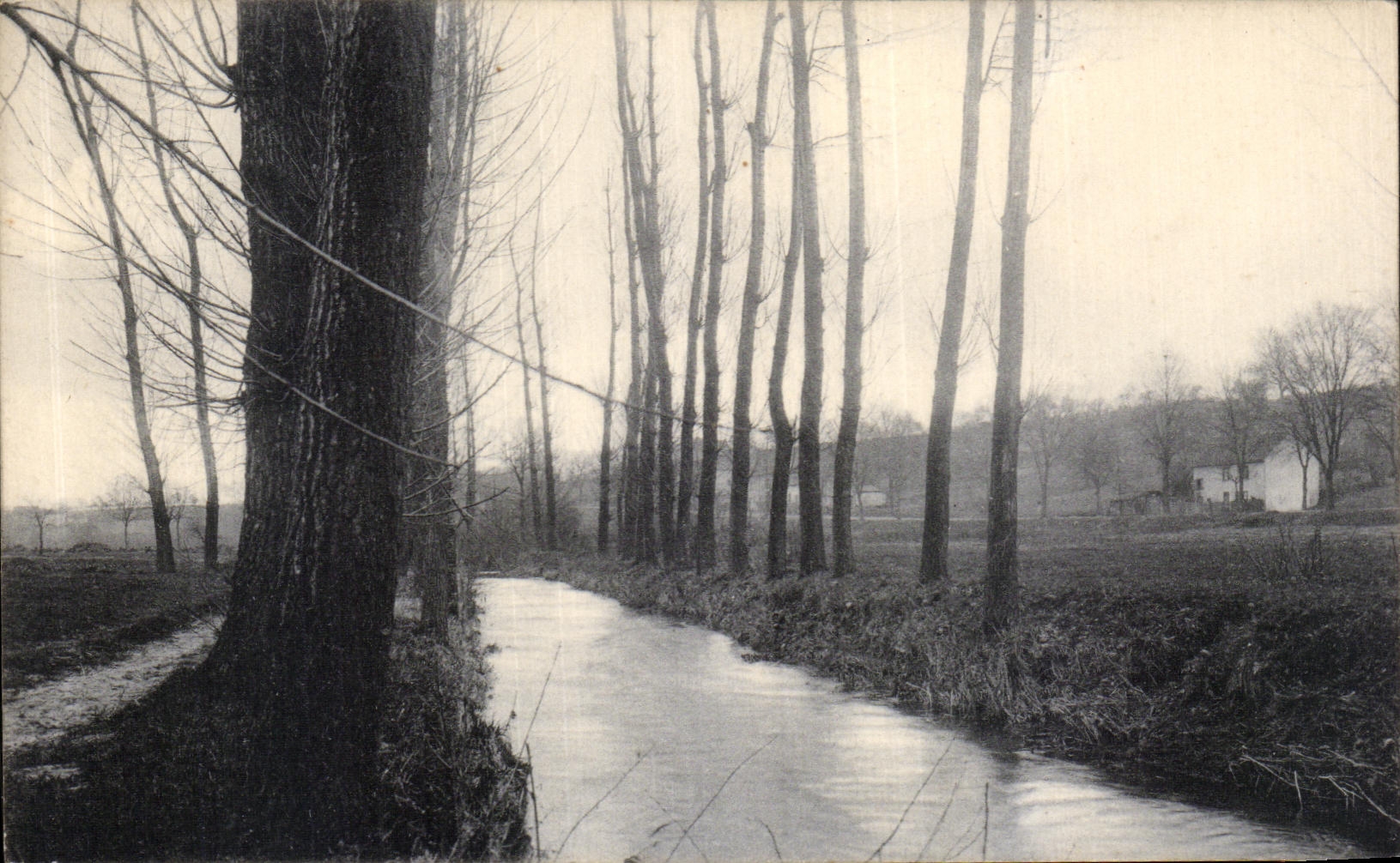 CPA Serie Bach Serie Ruisseau 