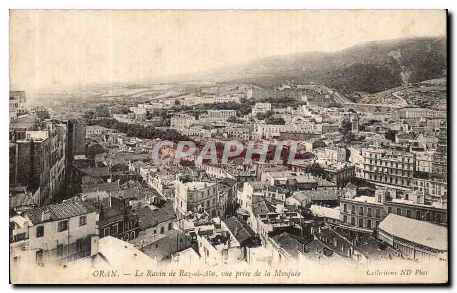 CPA Oran Le Ravin de Razzel Ain vue Prise de la Mosquee Algerie 