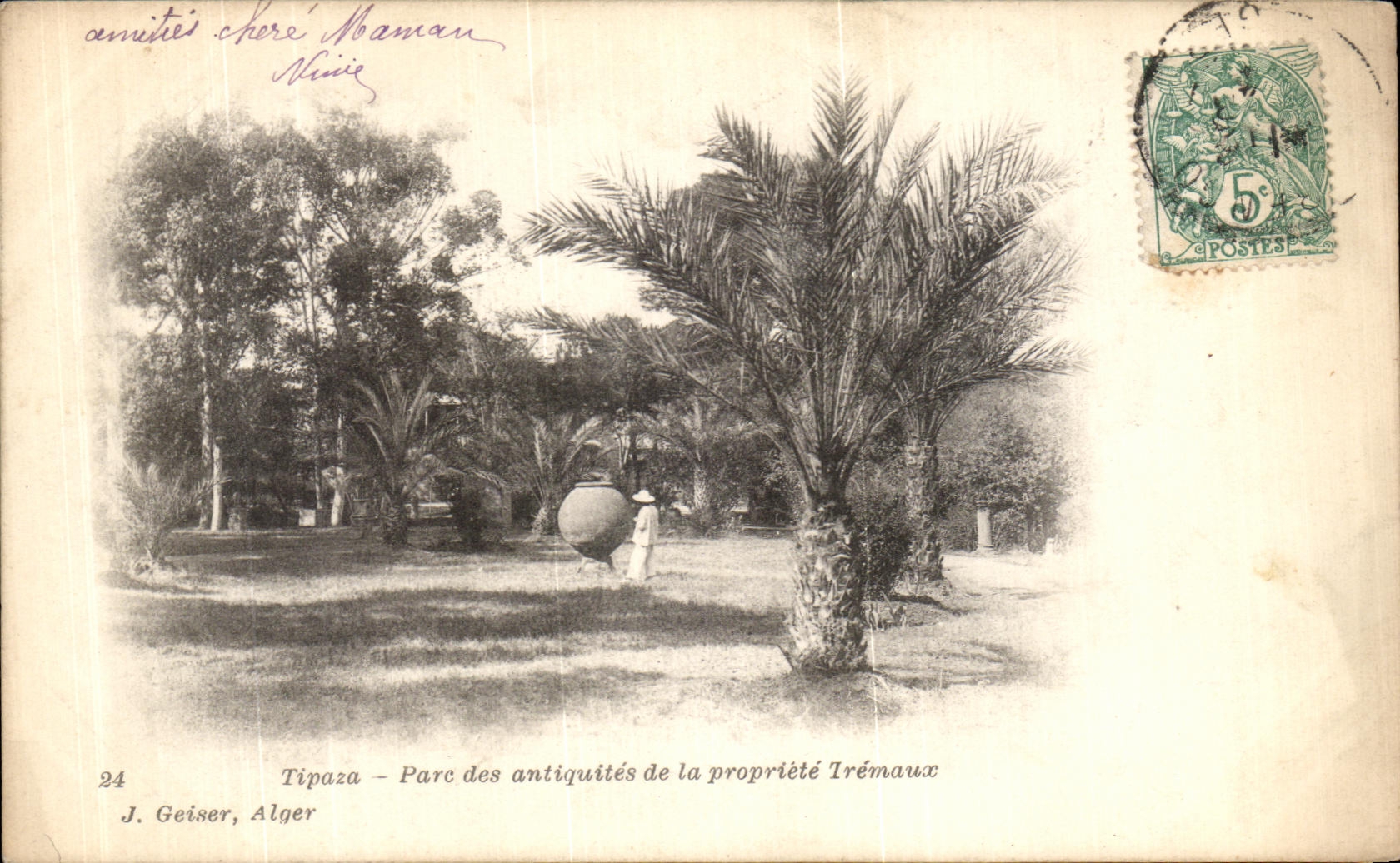 CPA Tipaza Para des antique de la Propriete Tremaux Algerie 