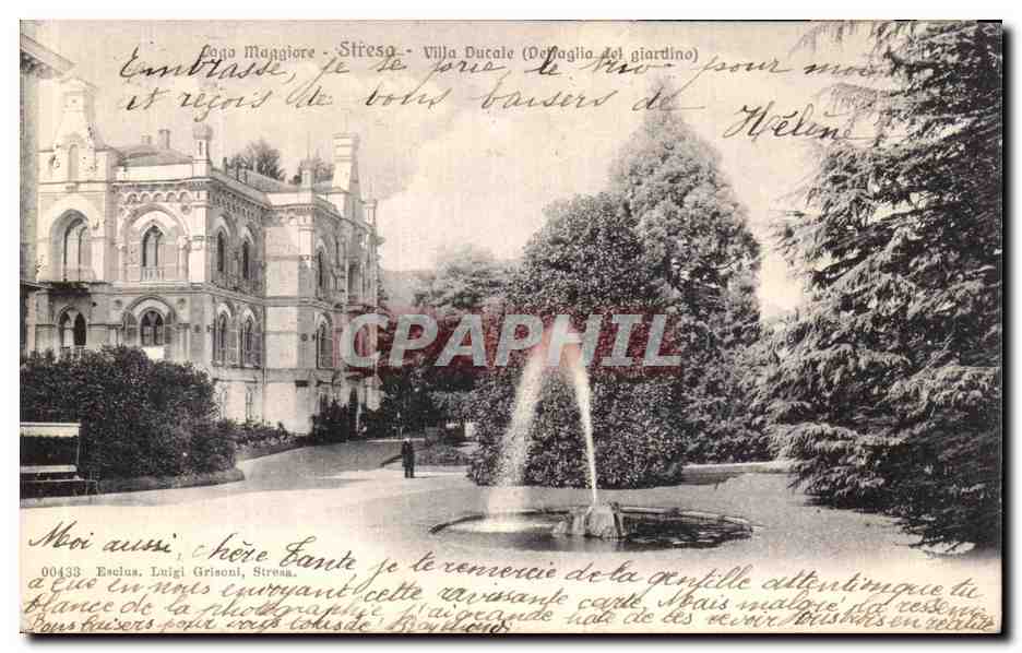 CPA Lago Maggiore Stresa Villa Ducale 