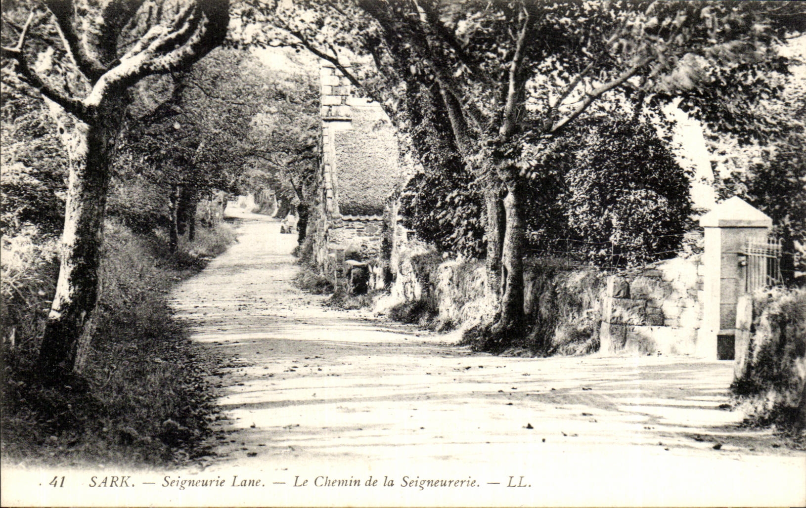 CPA Sark Seigneurie Lane Le Chemin de la Seigneurie