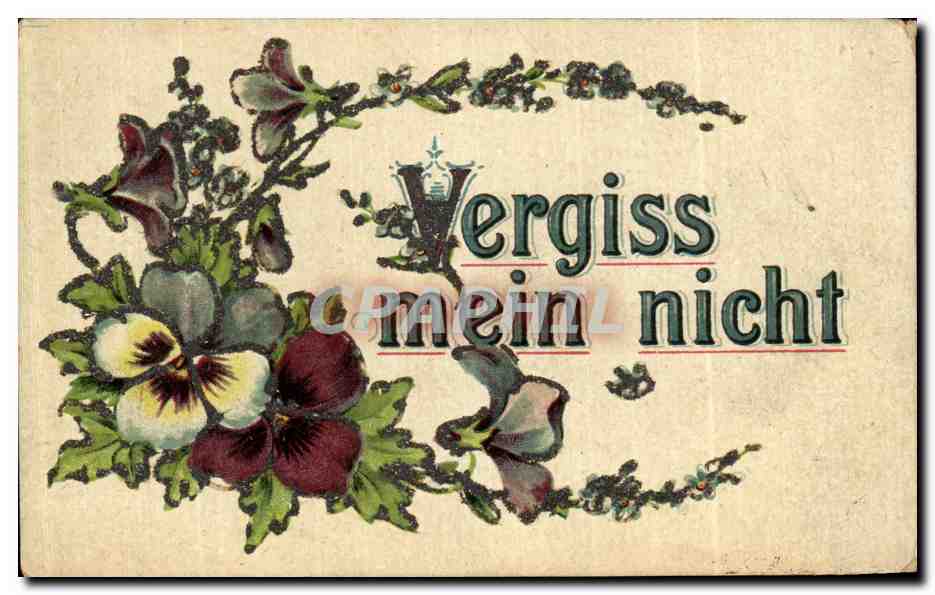 Fleurs — 'Vergiss mein nicht' — éditeur non visible, n° de série non visible