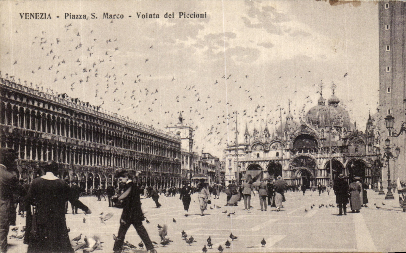 CPA Venezia Piazza S Marco Volata Dei Piccioni 