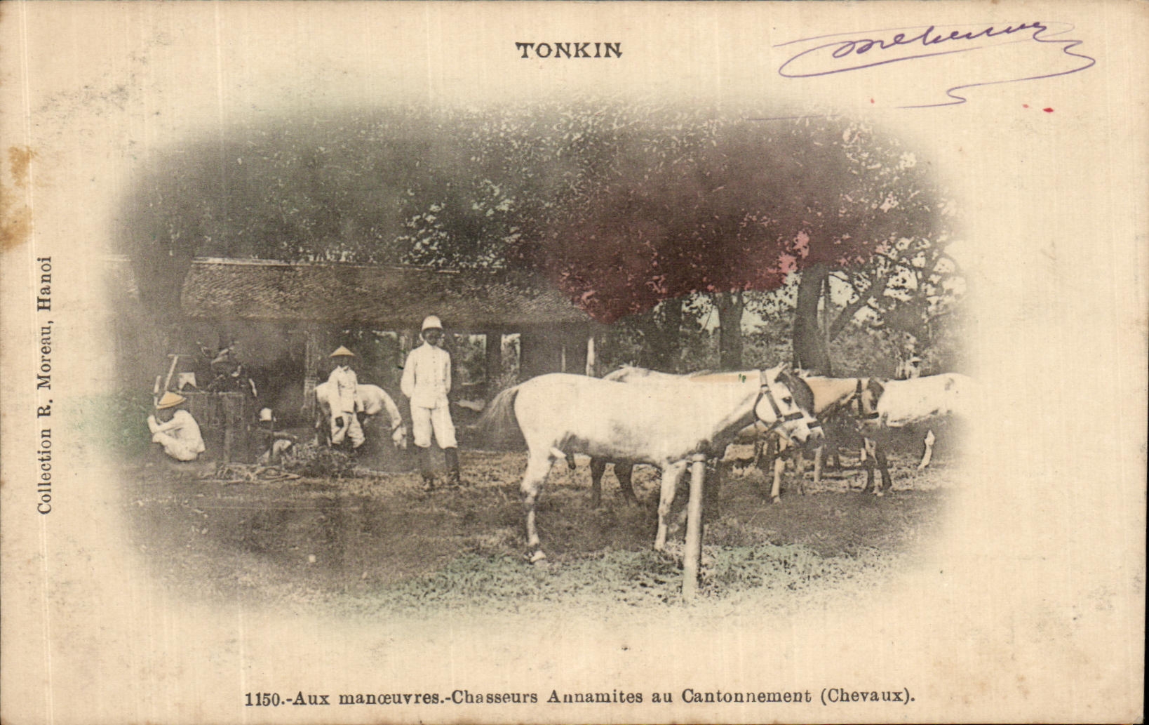 CPA Tonkin Aux manoeuvres Chasseurs annamites au contonnement Chevaux 