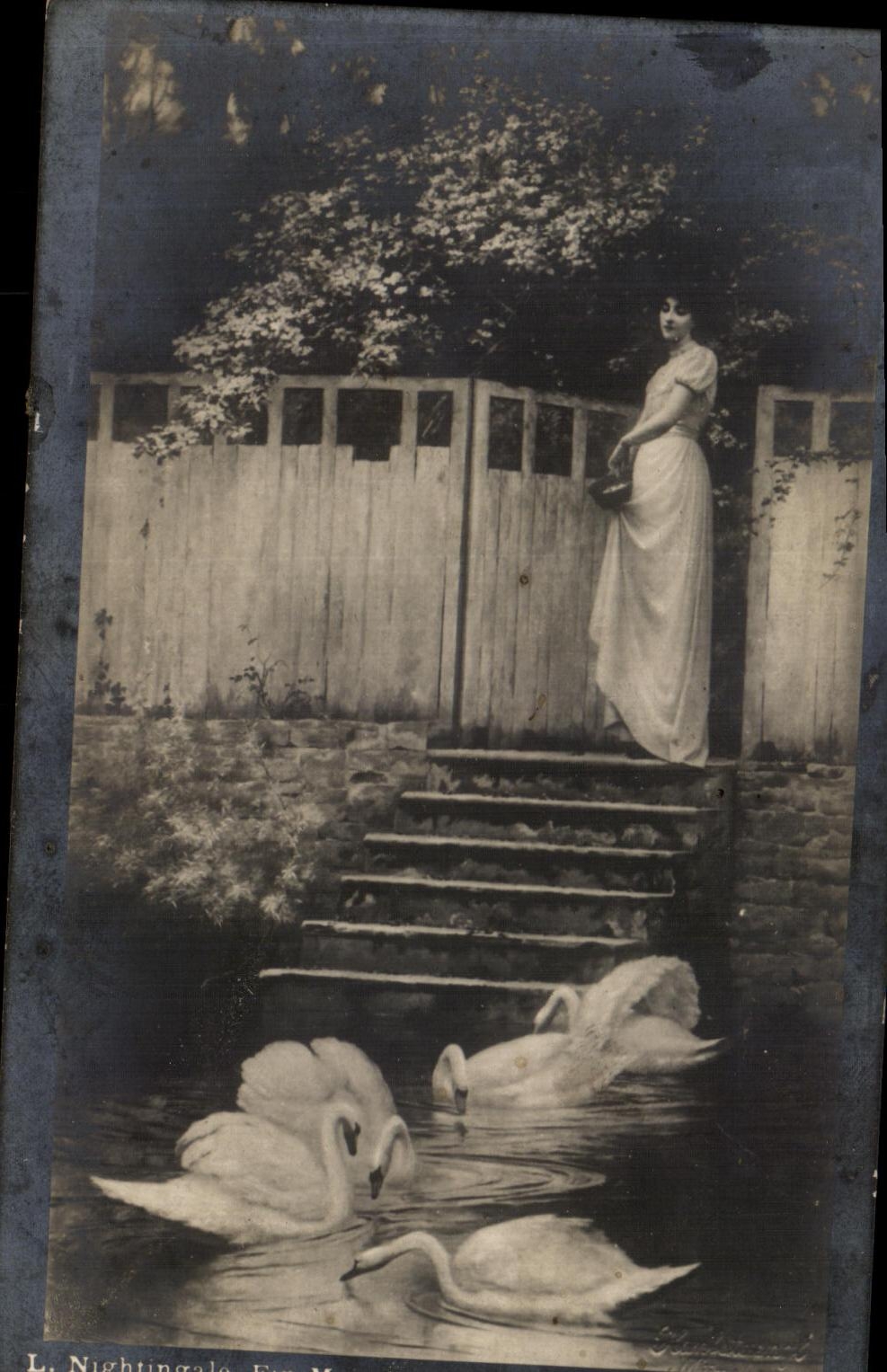 CPA Femme et cygnes