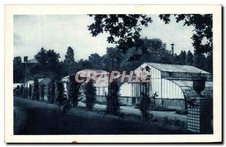 CPA Institut National d Agronomie Colonlale Souvenir Indochinois Serres des plantes utiles des pays chauds 
