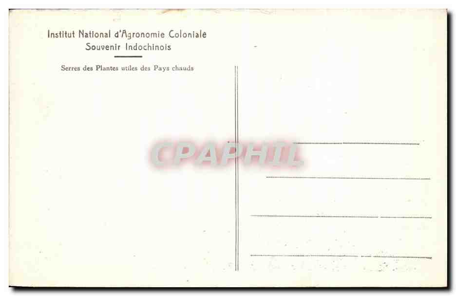 CPA Institut National d Agronomie Colonlale Souvenir Indochinois Serres des plantes utiles des pays chauds  — Rückseite