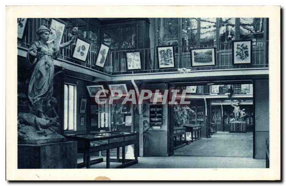 Salle des collections agronomiques tropicales — Institut National d'Agronomie Coloniale — Souvenir Indochinois