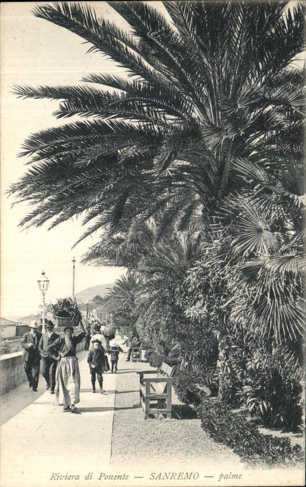 CPA Riviera di Ponente Sanremo Palme