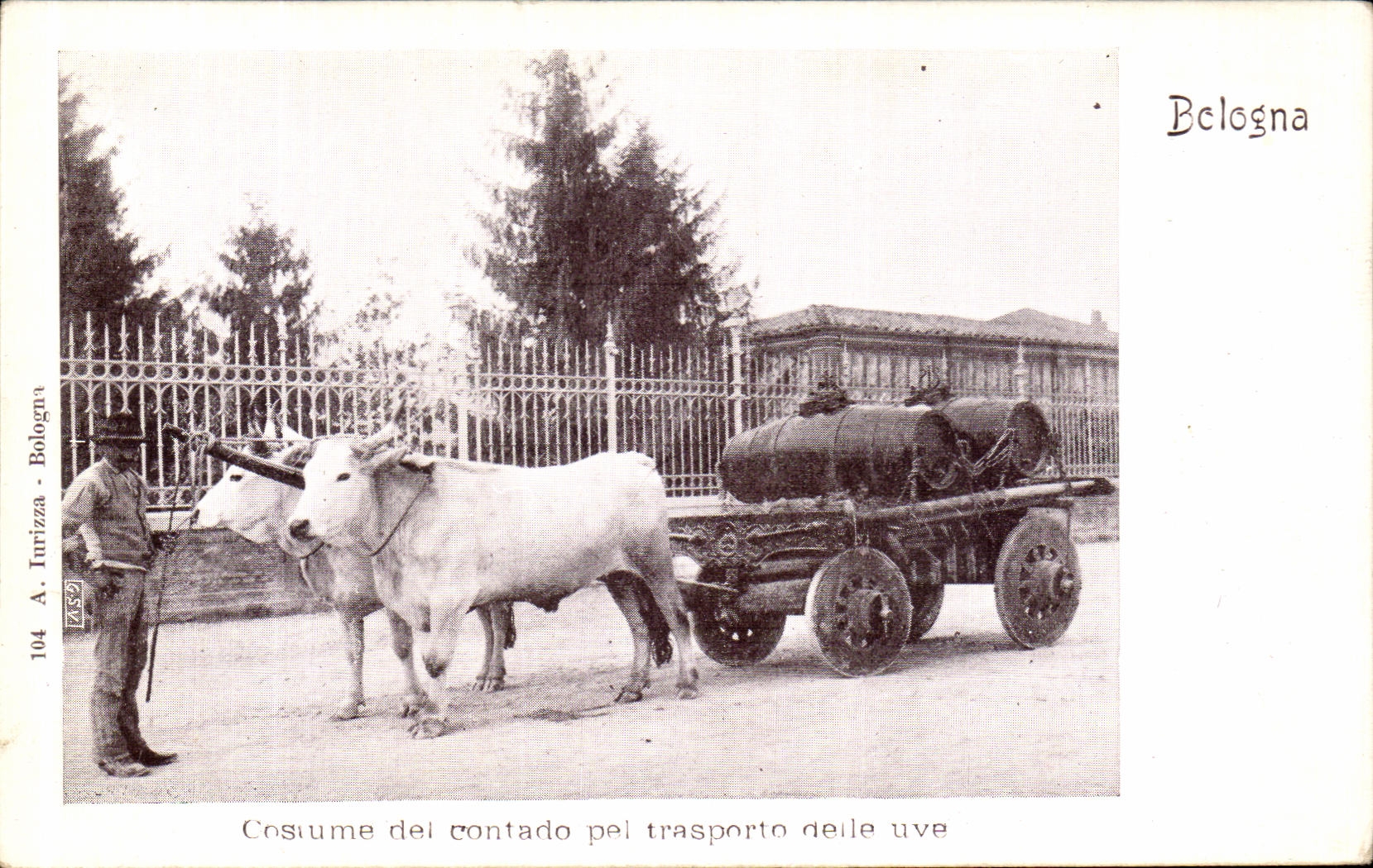 CPA Bologna Cosiume del contado pei transporto delle vue Attelage