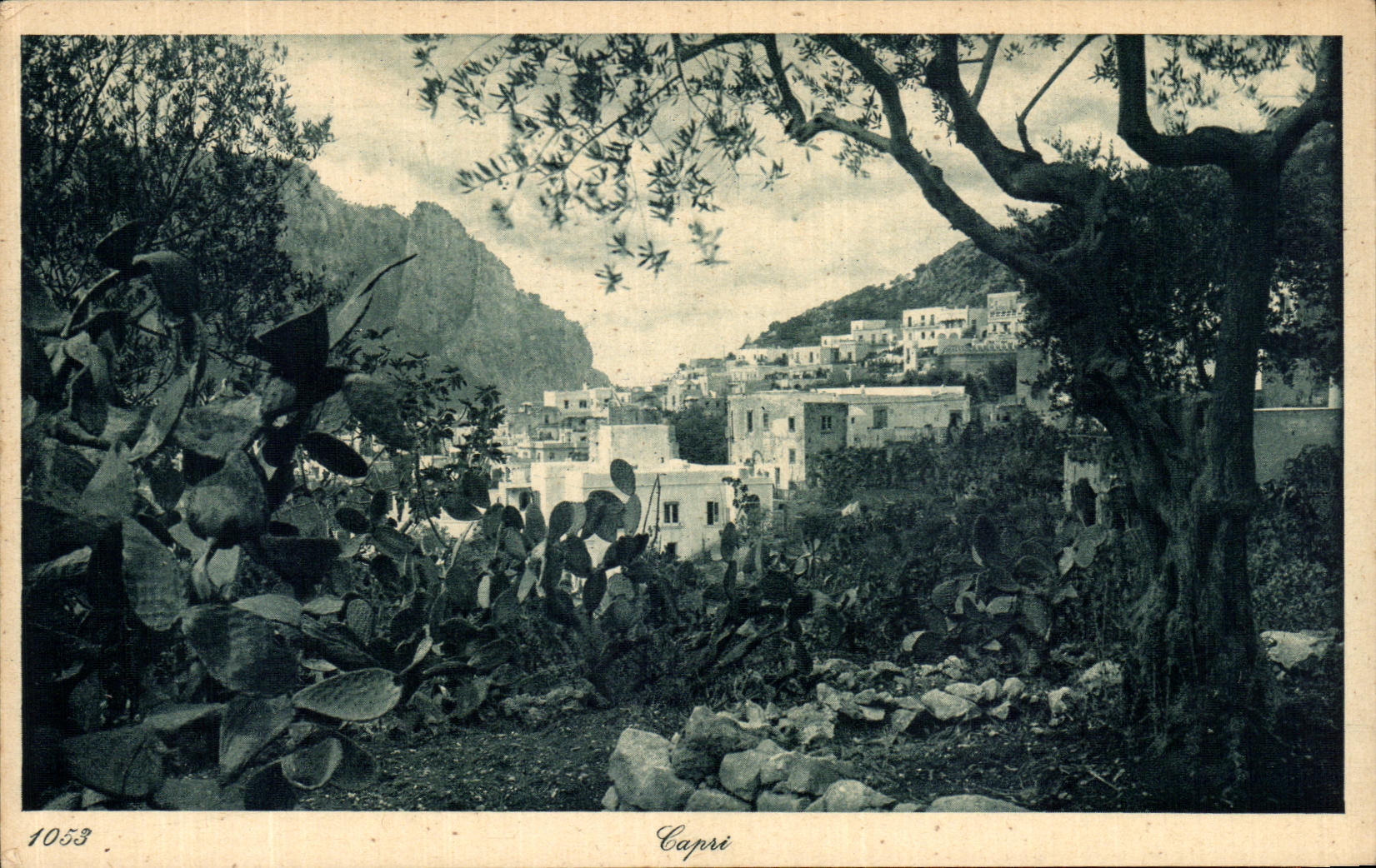 CPA Capri