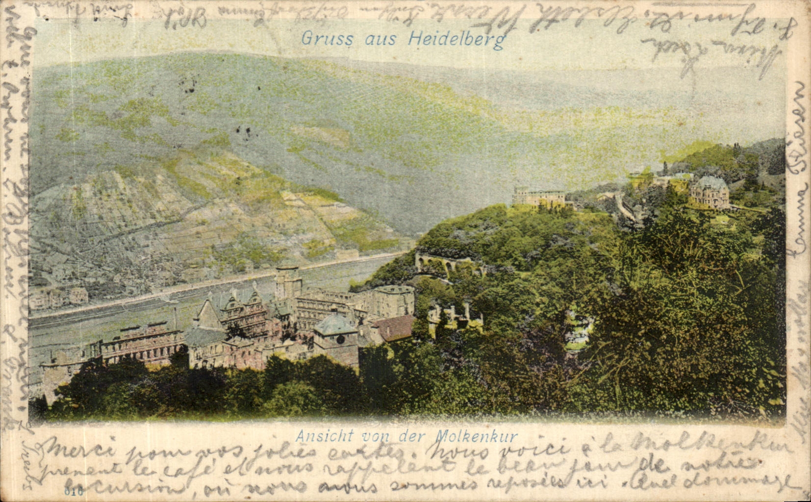 CPA Gruss aus Heidelberg Ansicht von der Molkenkurn 