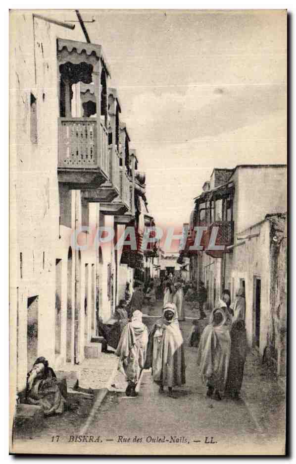 CPA Biskra Rue des Ouled Nails Algerie 