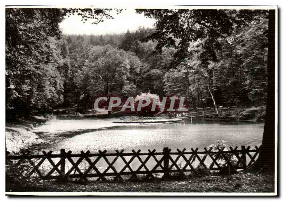 CPA Homburg Karl Berg Weaher