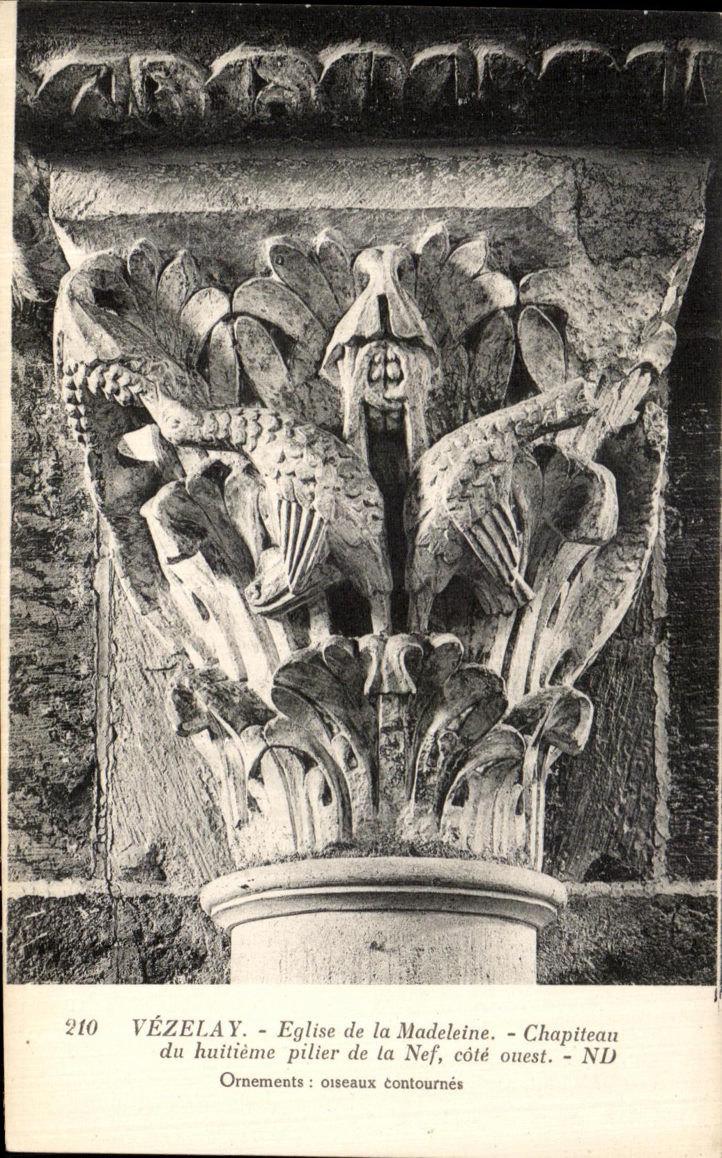 Vézelay - Église de la Madeleine - Chapiteau du huitième pilier de la Nef, côté ouest - ornements : oiseaux contournés