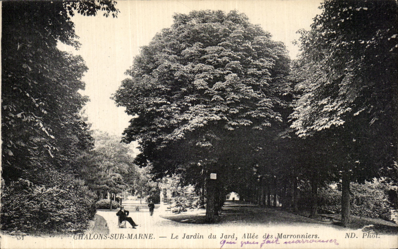 Châlons-sur-Marne — Le Jardin du Jard, Allée des Marronniers — ND. Phot.