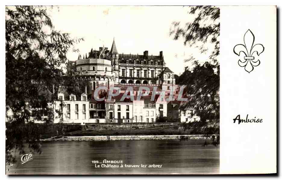 CPA Amboise Le Chateau a travers les arbres
