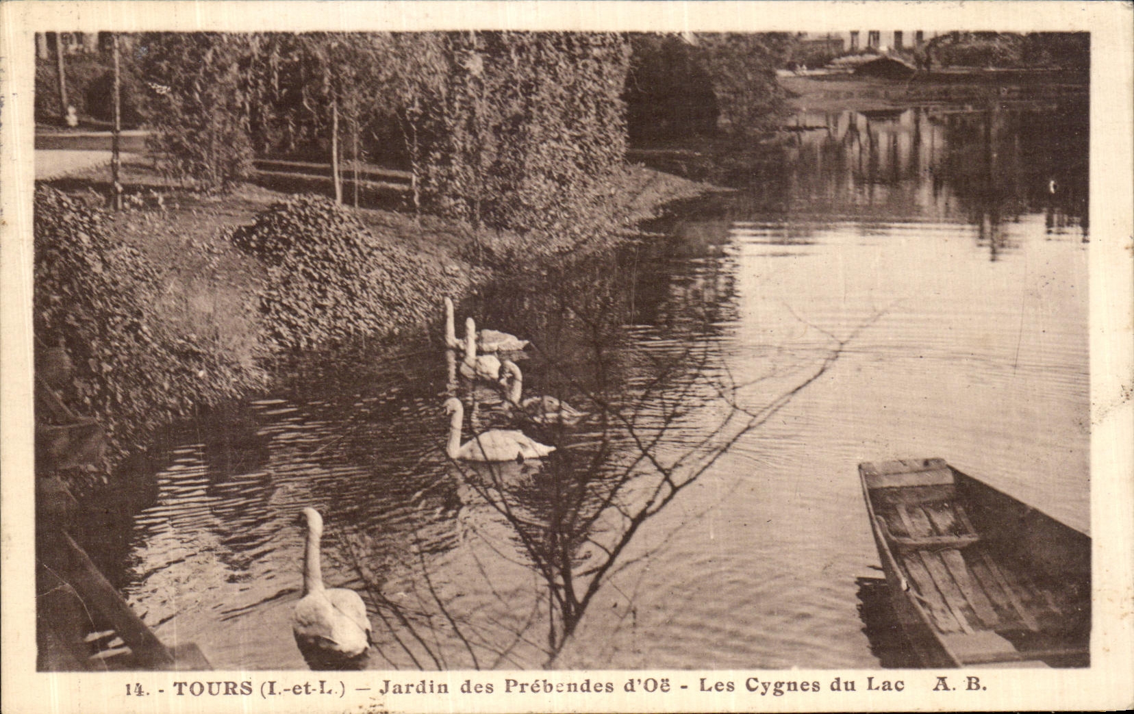 CPA Tours Jardin des Prebendes D Oe Les Cygnes du Lac 
