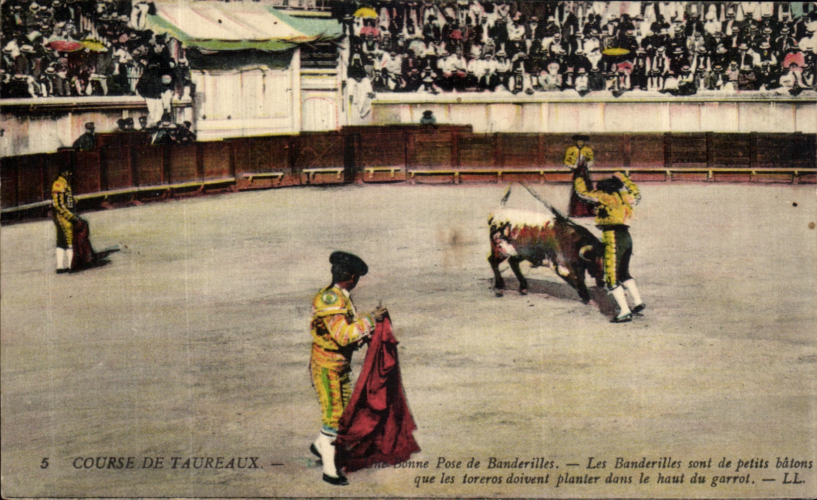Course de taureaux — Bonne pose de banderilles — LL.