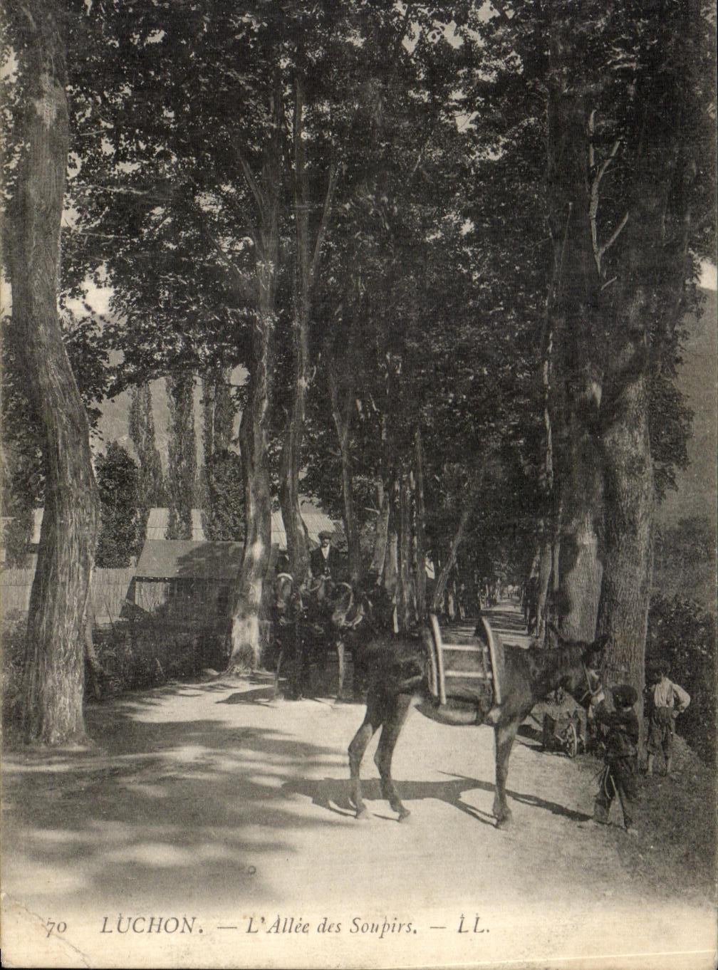 CPA Luchon L Allee des Soupirs Enfant et anes