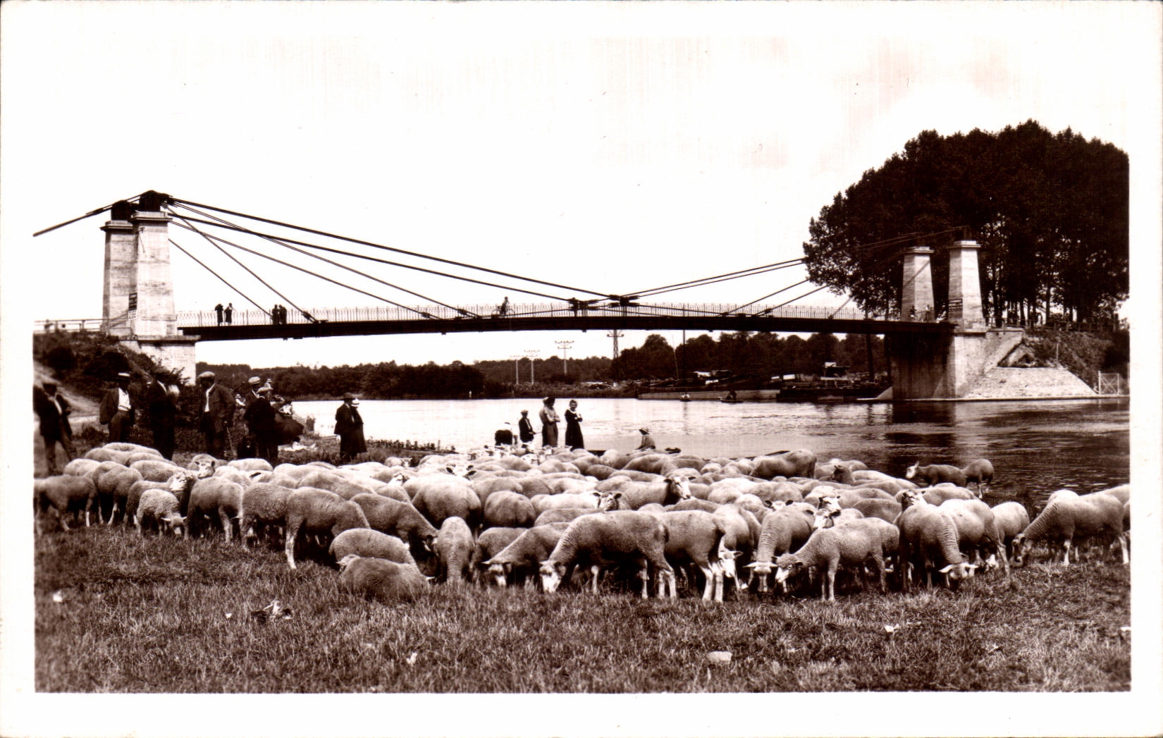 Boran-sur-Oise — Le pont suspendu sur l'Oise — Les moutons — Éditions Prosper Dumont