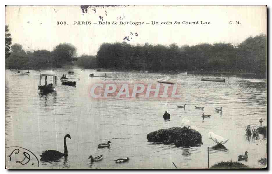 CPA Paris Bois de Boulogne Un Coin du Grand Lac 