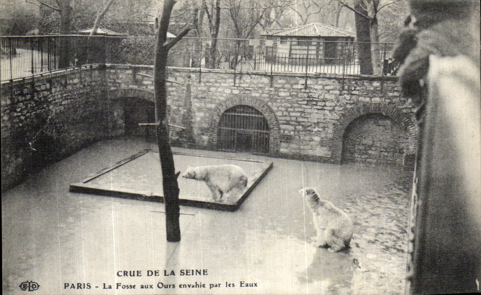Paris - La Fosse aux Ours envahie par les Eaux — EID