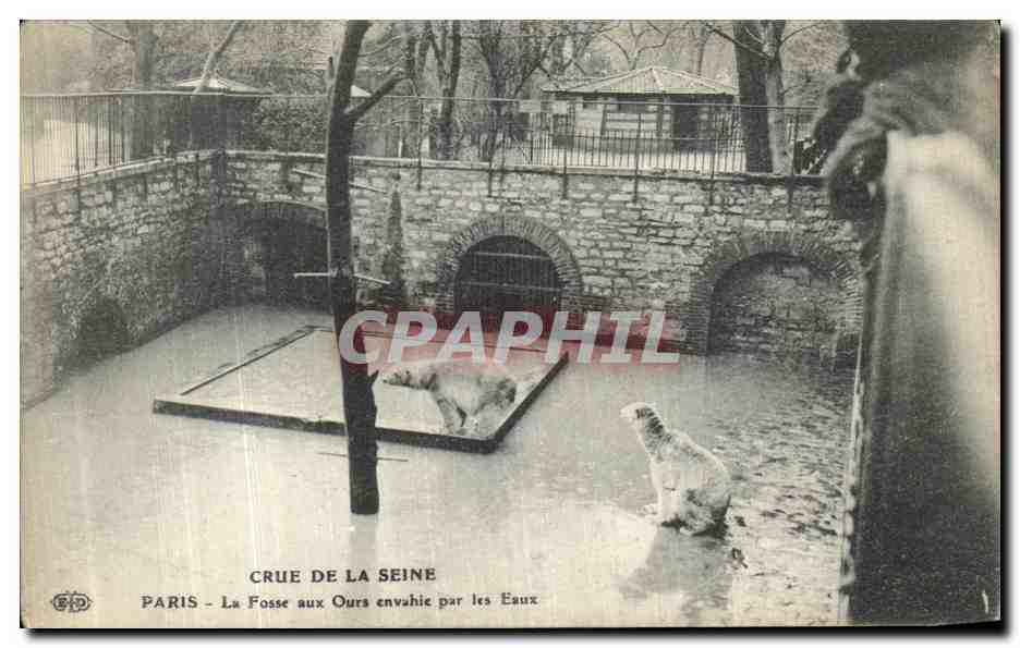 Crue de la Seine — La Fosse aux Ours envahie par les Eaux — Paris