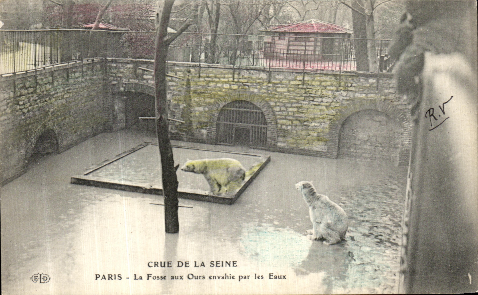 CPA Crue De La Seine Paris La Fosse aux Ours Envable Par Les Eaux