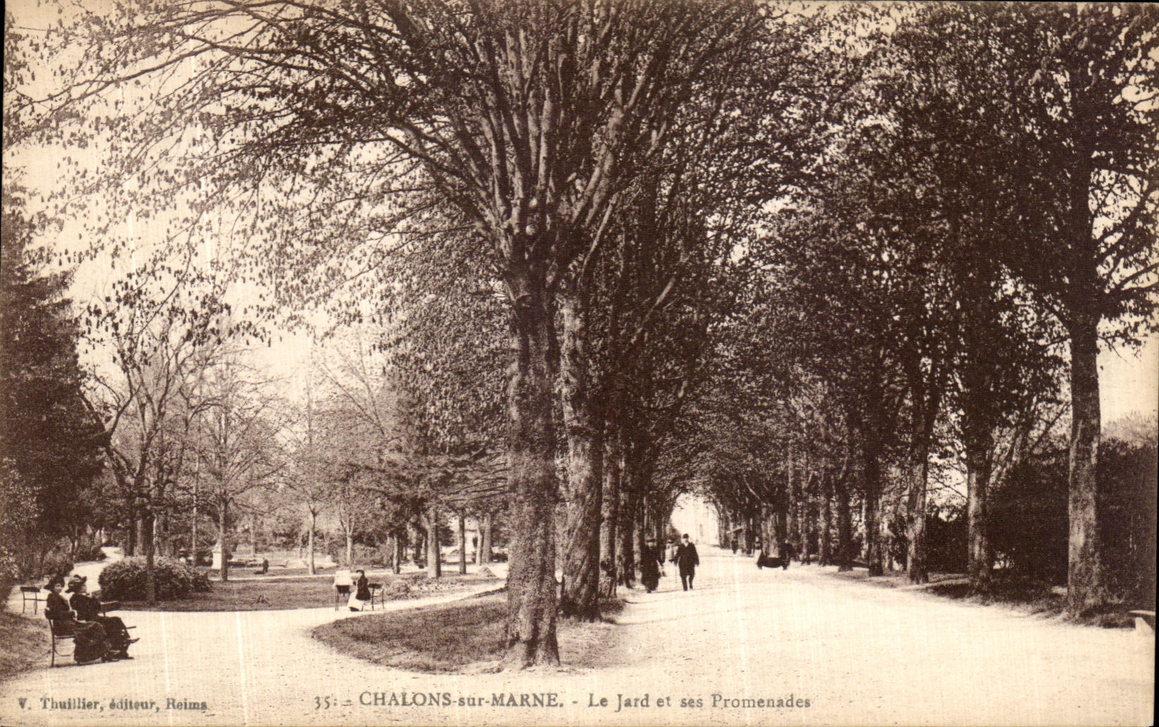 CPA Chalons Sur Marne Le Jard et Ses Promenades 