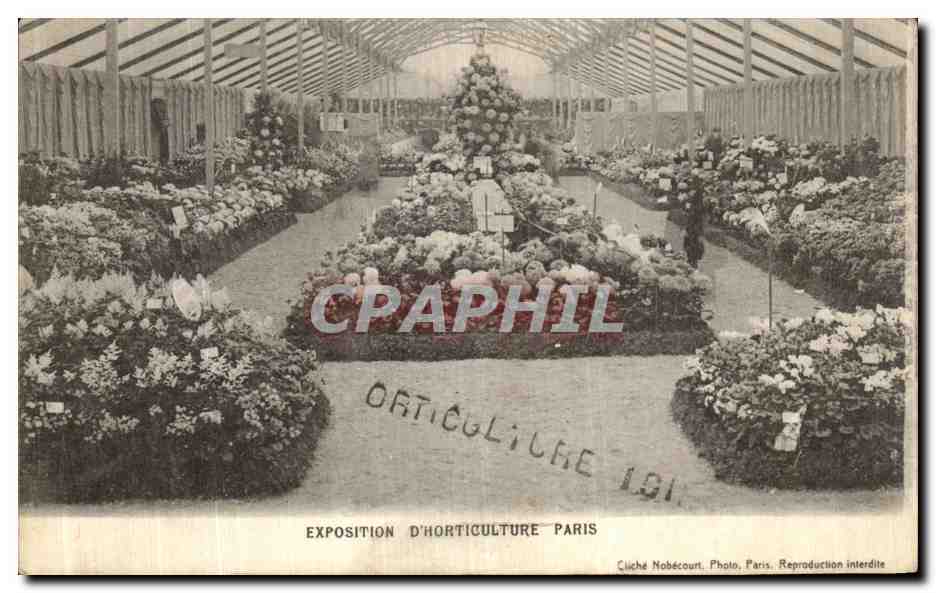 CPA Exposition D Horticulture Paris Fleurs