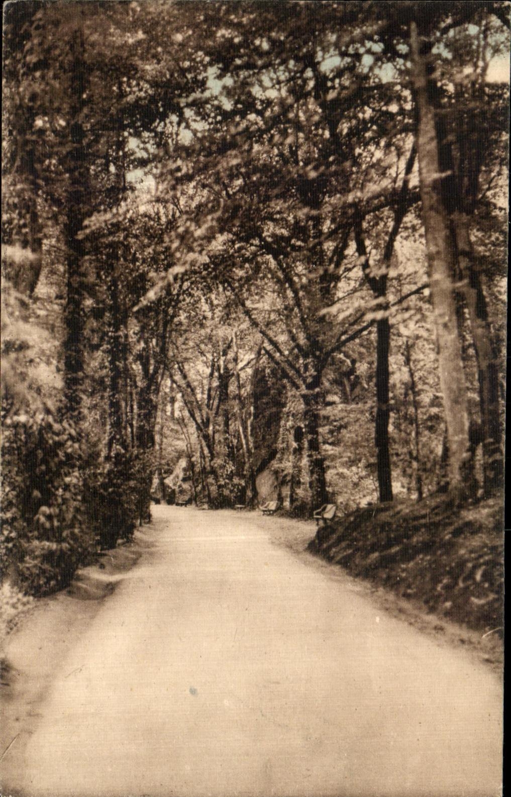 Allée de Dante — Estación termal de Bagnolles-de-l'Orne — Editor: Aux Souvenirs de Bagnolles