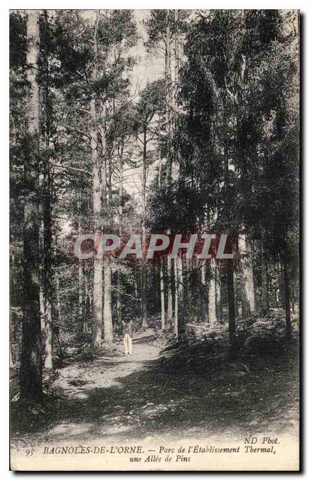 Bagnolles-de-l'Orne — Parque del establecimiento termal, un paseo de pinos — ND Phot.