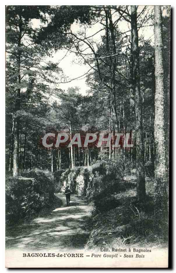 Bagnolles-de-l'Orne — Parque Goupil — Bajo Bosque — Editor: Ravinet en Bagnolles