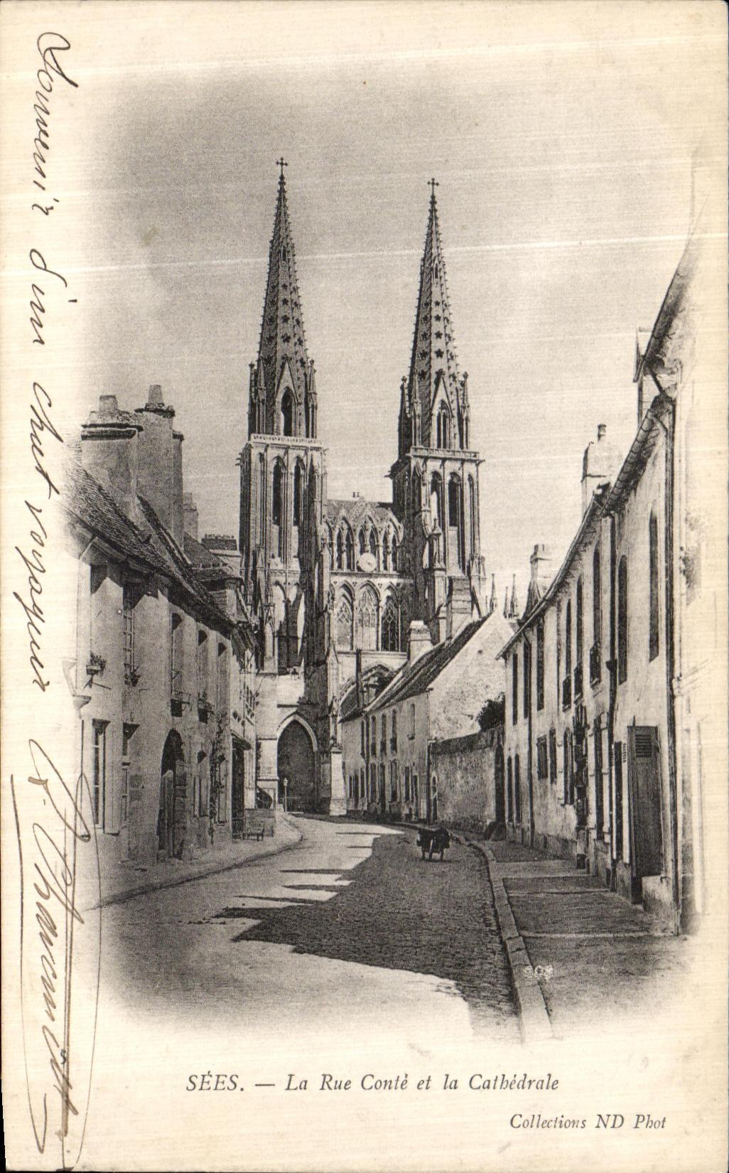CPA Sees La Rue Conte et la Cathedrale