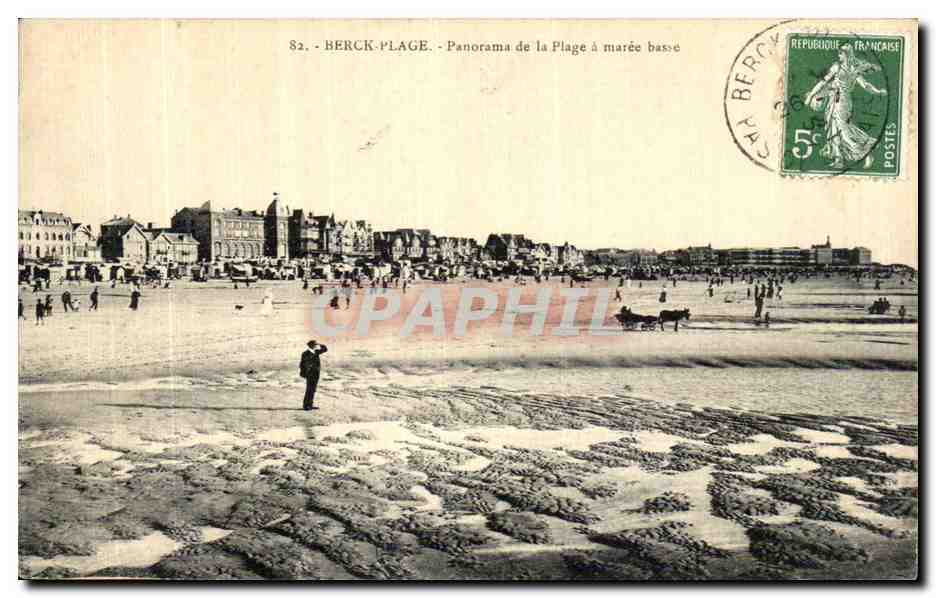 CPA Berck Plage Panorama de la Plage a maree basse