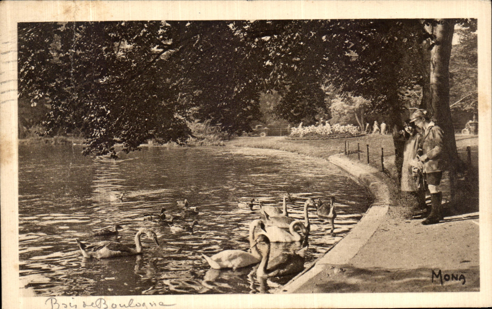 CPA Paris Au bois de Boulogne Cygnes sur le lac inferieur Cygnes