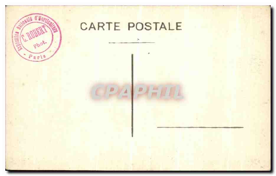 Giardini dell'Esposizione Nazionale di Floricoltura — Parigi — C. Robert Fot. — Verso