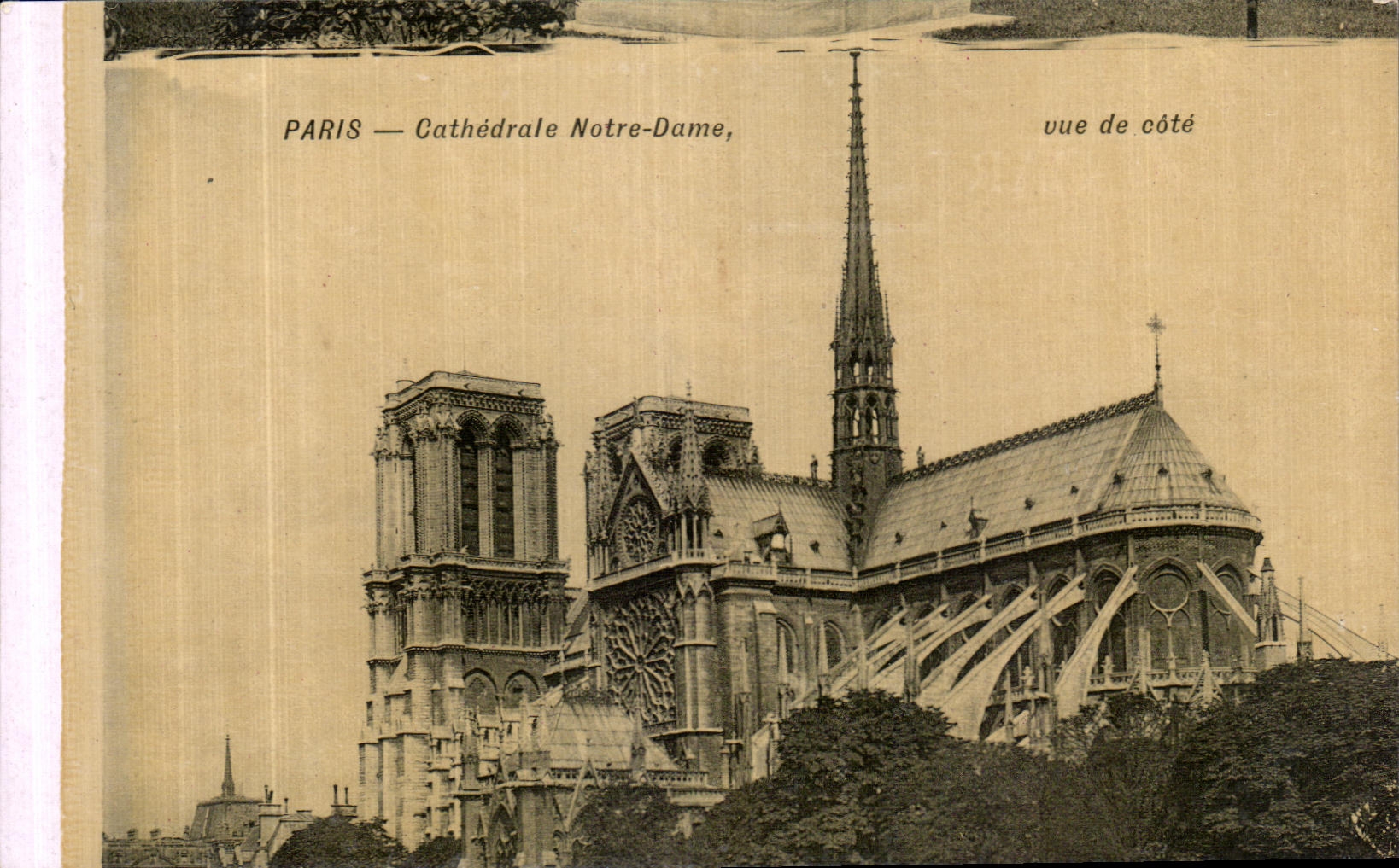 CPA Paris Cathedrale Notre Dame Vue de Cote 