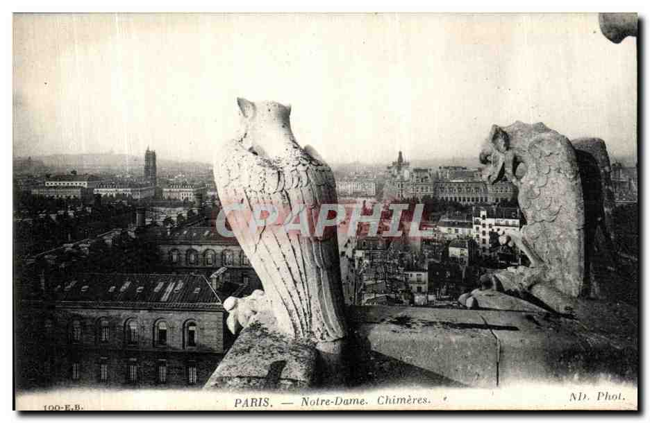 CPA Paris Notre Dame Chimeres Diable Hibou
