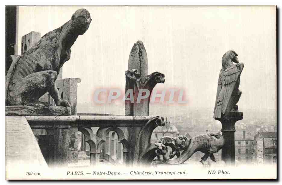 CPA Paris Notre Dame Chimeres Transept Sud 
