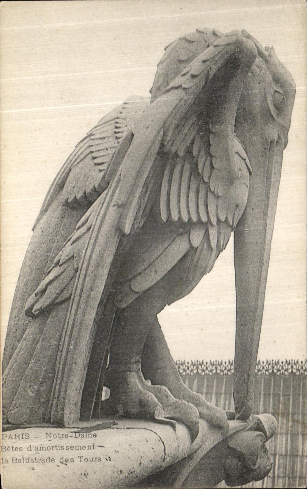 CPA Paris Notre Dame Betes d amortissement et balustrades des tours