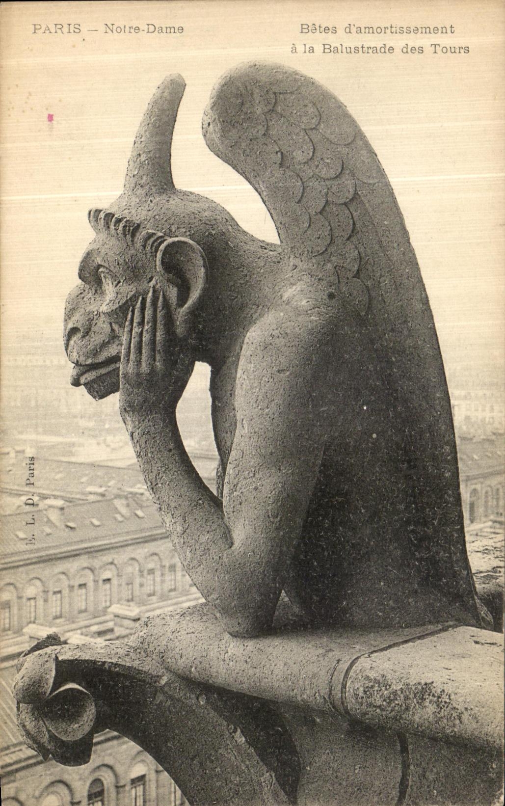 CPA Paris Notre Dame Bete d amortissement a la balustrade des tours Diable