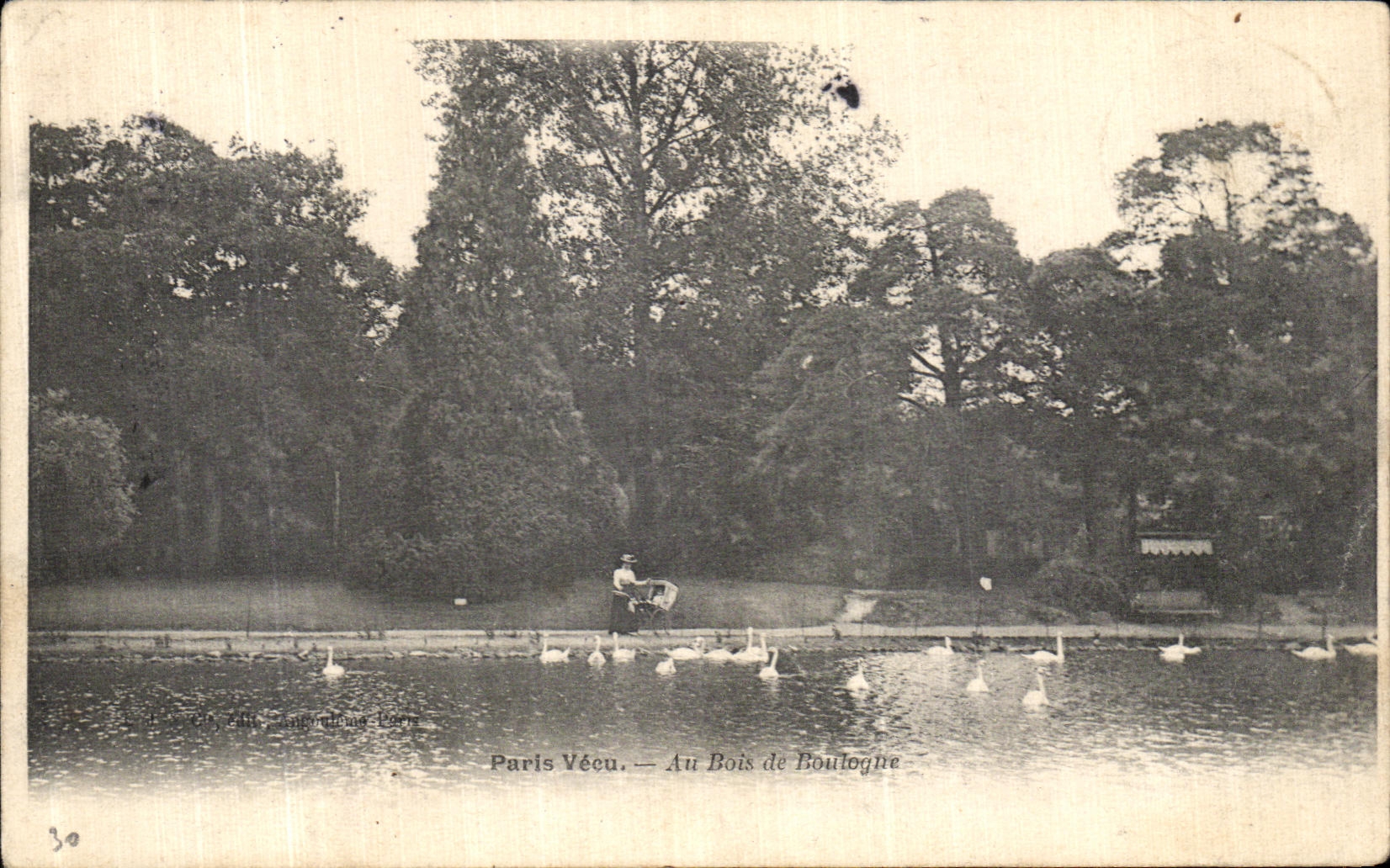 CPA Paris Vecu Au Bois de Boulogne Cygnes
