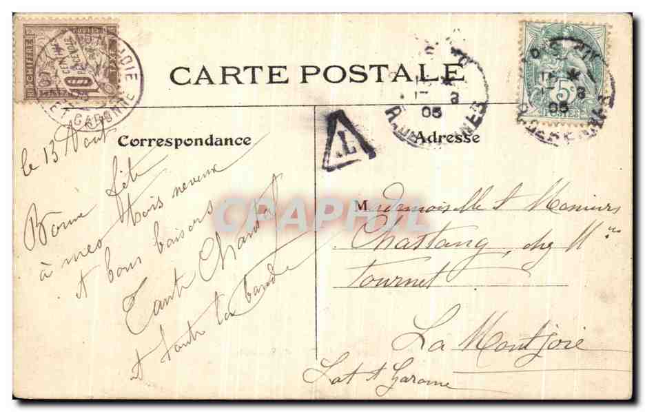 CPA Paris Vecu Au Bois de Boulogne Cygnes — Verso
